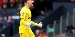 英媒：伯恩茅斯和桑德兰均有意佩特洛维奇，切尔西估价2500万镑